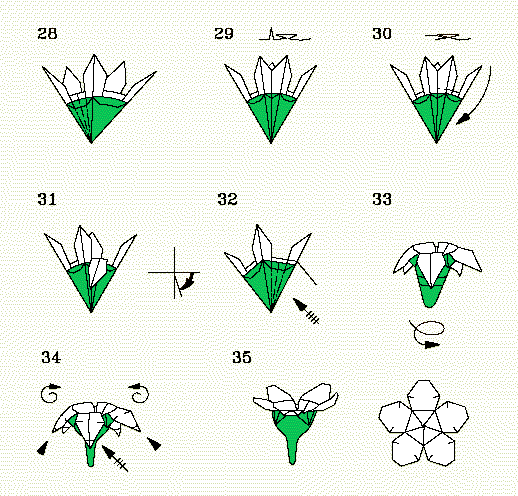 Diagramas para as etapas 28-35.