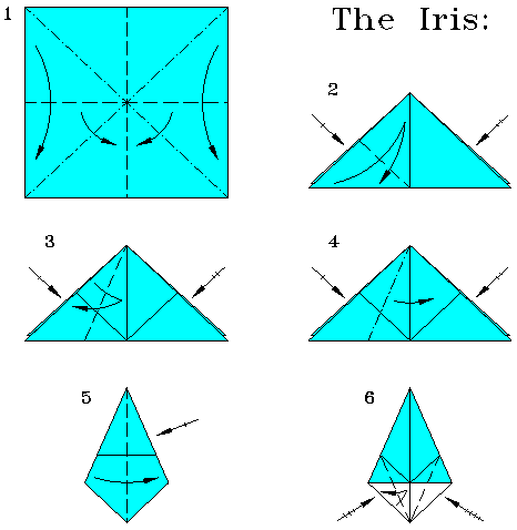 Diagrams for steps 1-6.