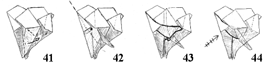 Diagrams for steps 41-44.